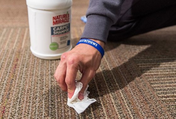 Best Pet Stain & Odor Removers