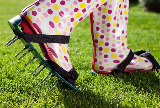 When to aerate your lawn