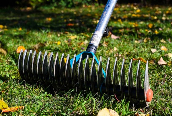 When to dethatch your lawn