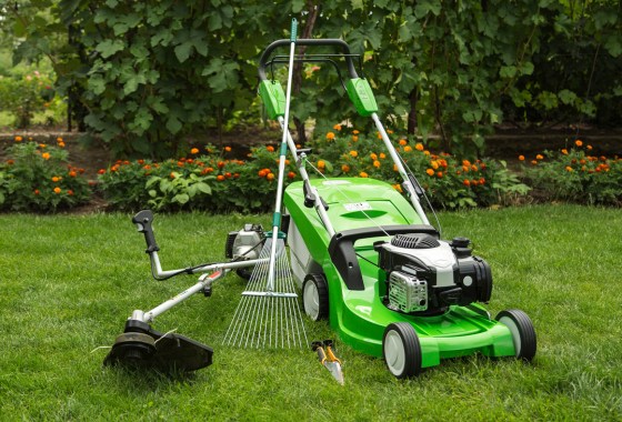 Lawn mower types: Which one is best for your yard?