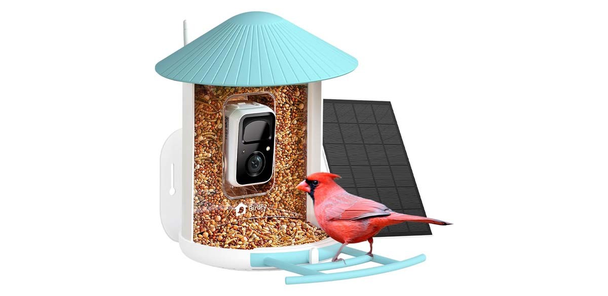 NETVUE by Birdfy Smart Bird Feeder with Camera