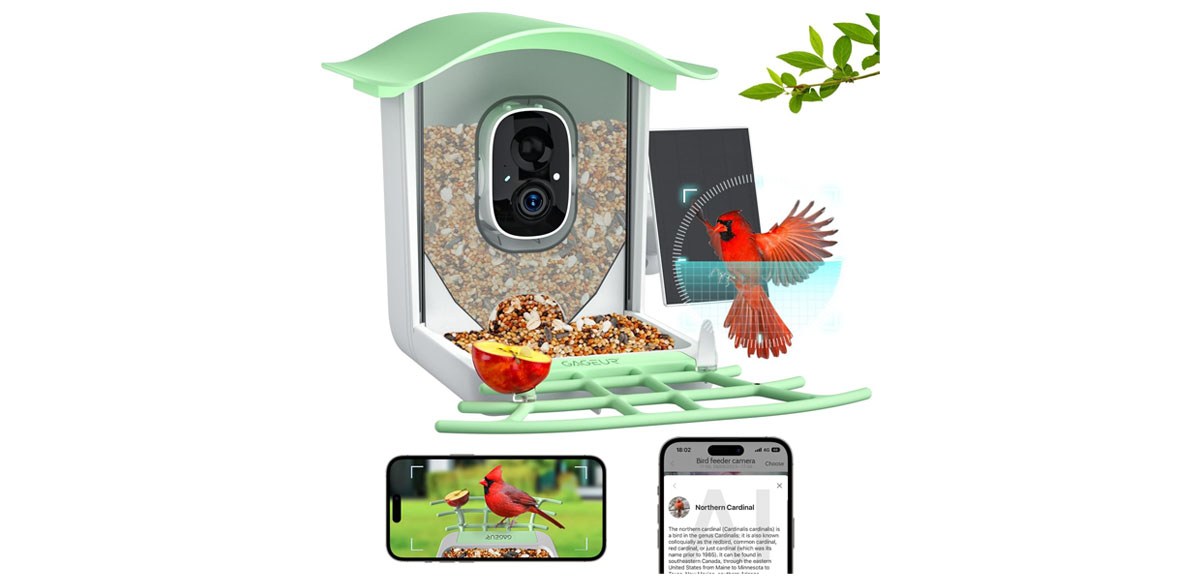 Gageur Bird Feeder with Camera