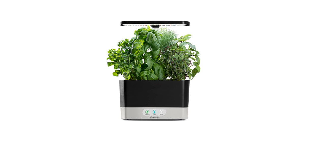 Best AeroGarden Harvest with Gourmet Herb Seed Pod Kit Best AeroGarden Harvest with Gourmet Herb Seed Pod Kit
