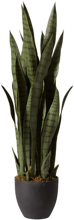 Nearly Natural Sansevieria with Black Planter