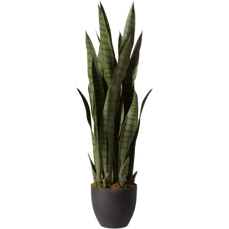 Nearly Natural Sansevieria with Black Planter