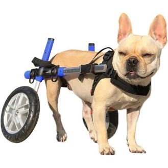 Walkin' Wheels Small Dog Wheelchair