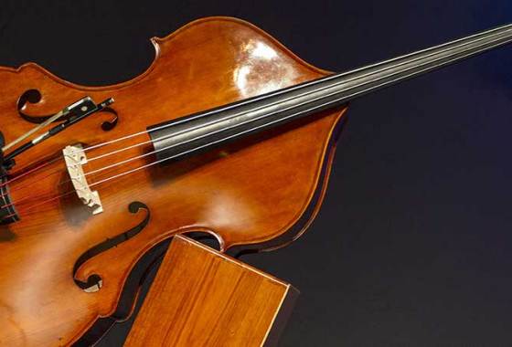 Best Upright Basses