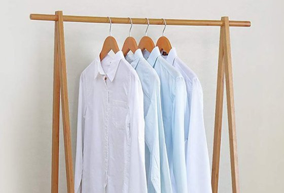 Best Garment Racks