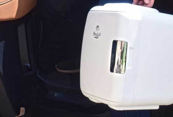 Best Thermoelectric Coolers