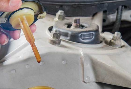 Best Power Steering Fluids