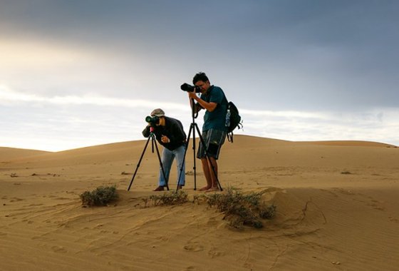Best Camera Bags