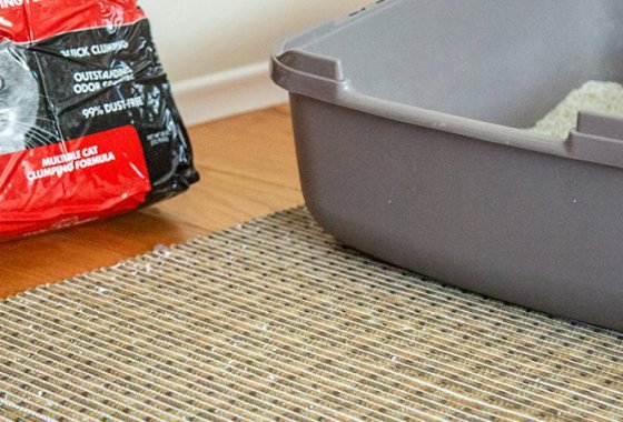 Best Cat Litter Mats