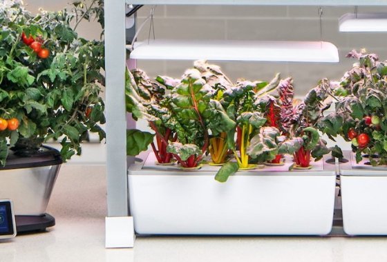 Best Hydroponic Garden Systems