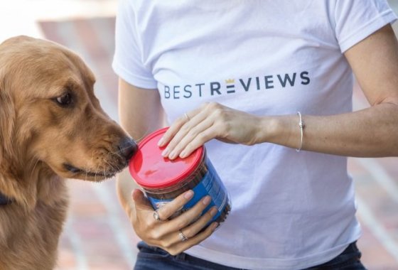 Best Soft Dog Treats