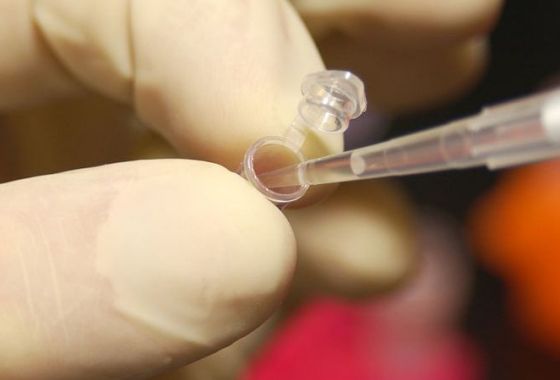 Best DNA Ancestry Kits