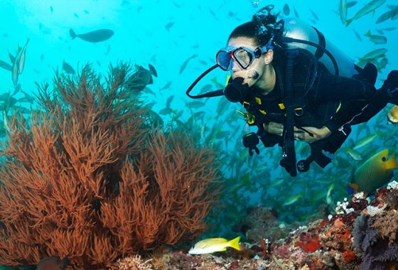 Best Scuba Regulators