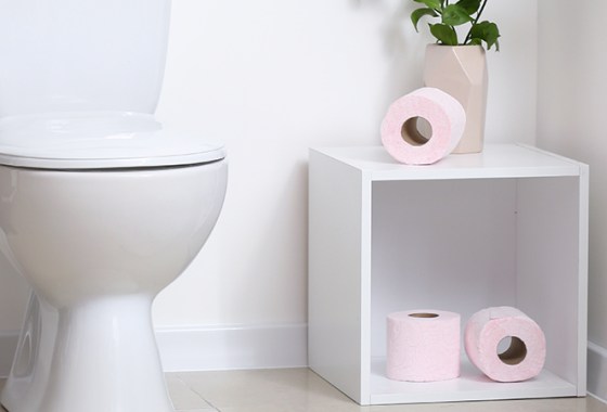 Best Toilet Paper Storage Containers