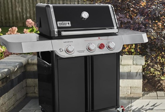 Best Weber Grills