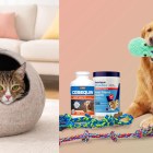 National Pet Day 2026: The 15 best deals we could find