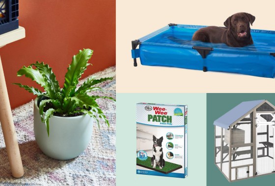 ‘Petios’ are trending and you should definitely make one for your furry BFF