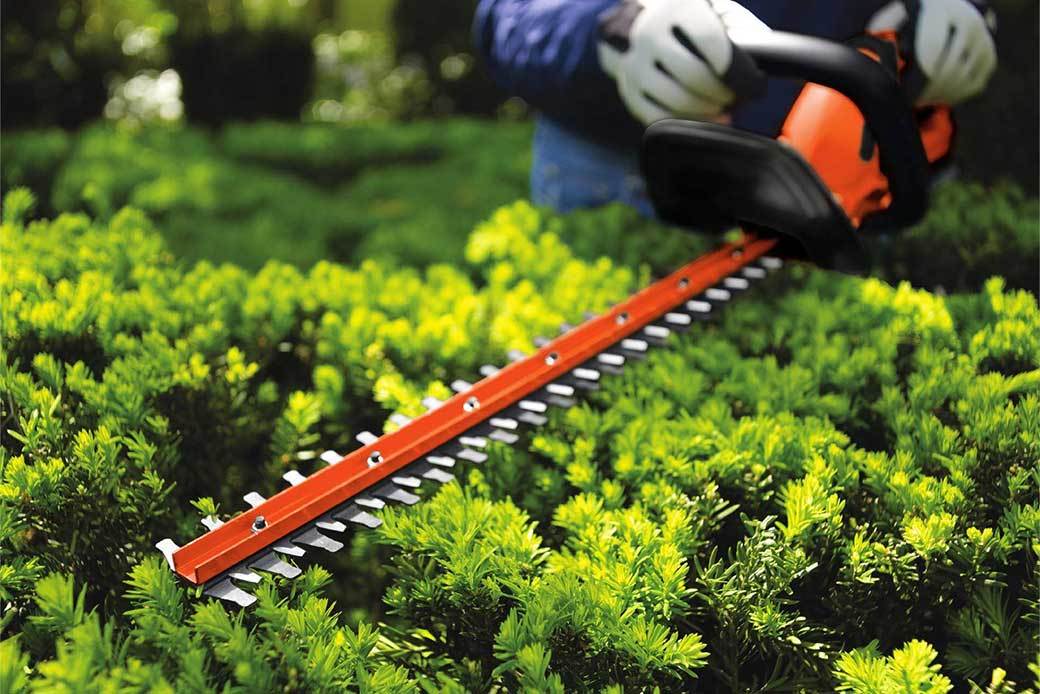 5 Best BLACK+DECKER Hedge Trimmers Mar. 2024 BestReviews