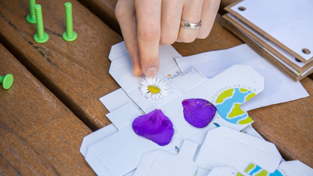 5 Best Flower Press Kits May 2021 BestReviews