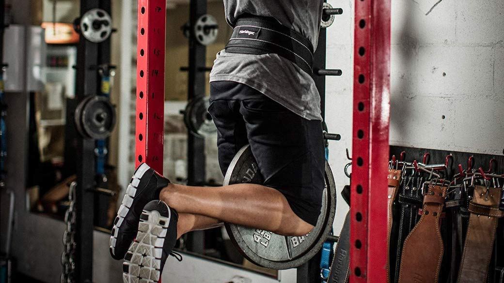 5 Best Dip Belts June 2020 BestReviews