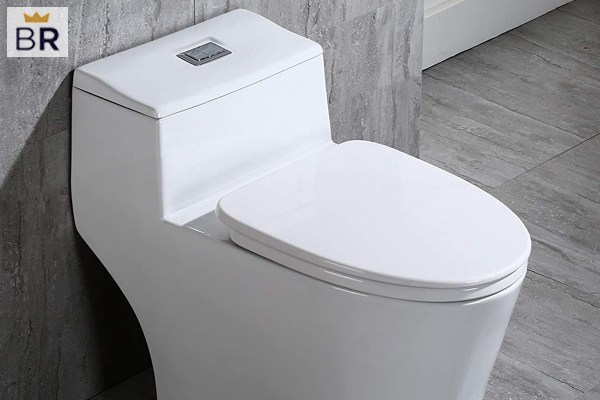 https://cdn17.bestreviews.com/images/v4desktop/image-full-page-600x400/06-when-were-toilets-invented-569aff.jpg?p=w900