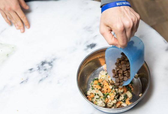 Best Orijen dog food