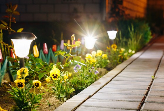 Best solar path lights