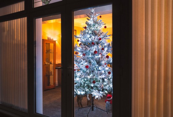 Best frosted Christmas tree
