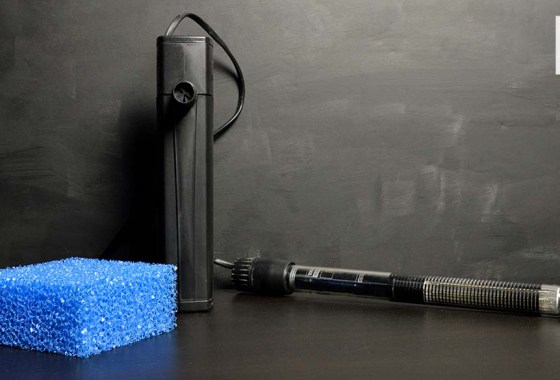 Best aquarium heater