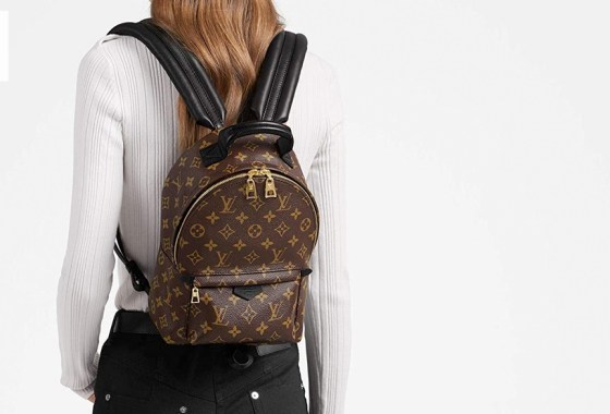 Best Louis Vuitton suitcase