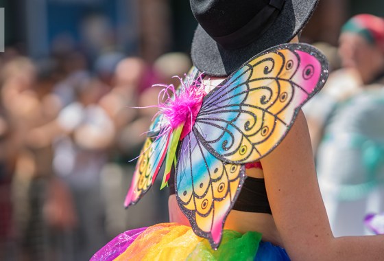 The best butterfly costume for adults