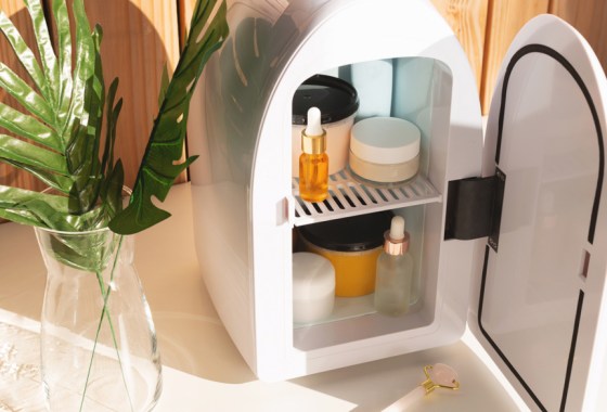 Best skin care fridge