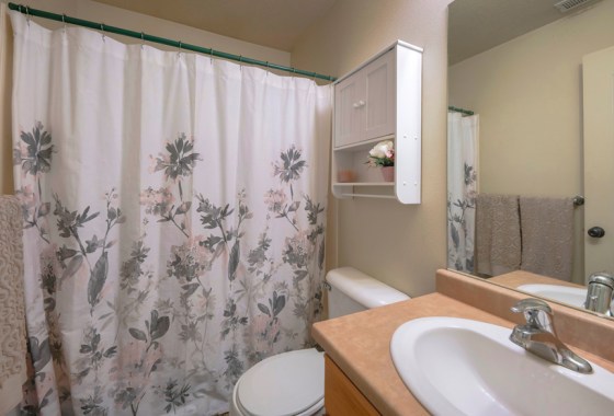 Best botanical shower curtain