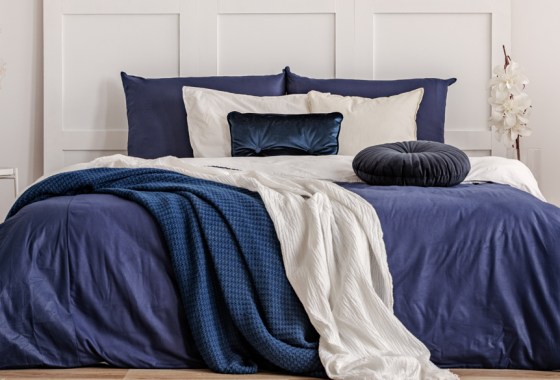 Best blue bedsheets