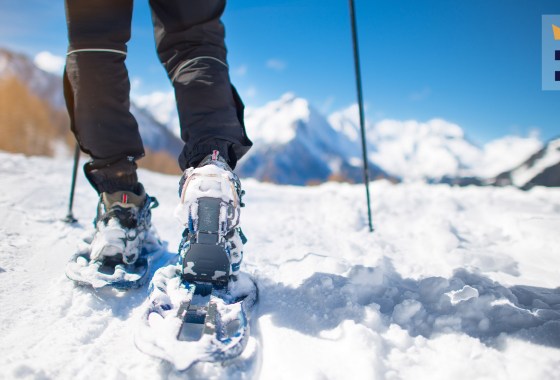 Best Tubbs snowshoes