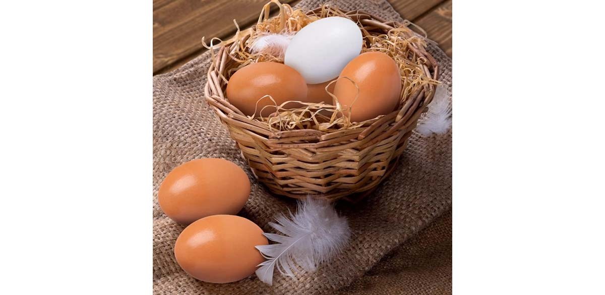 SallyFashion Wooden Fake Eggs, 9 Pieces 2 Colors