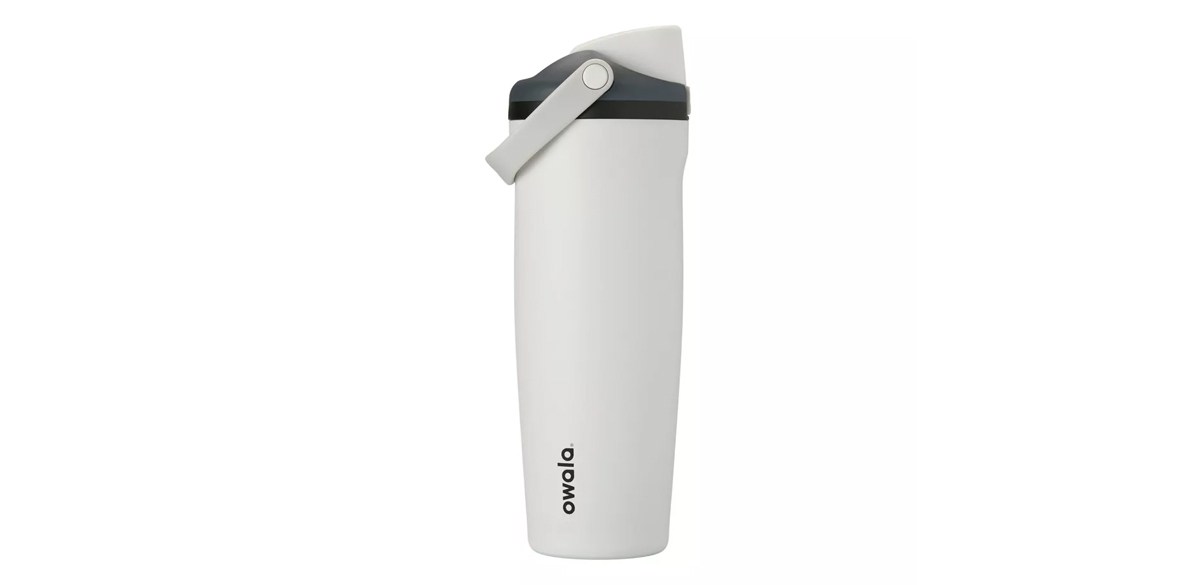 Owala 30oz FreeSip Sway Stainless Steel Water Bottle-Sleek