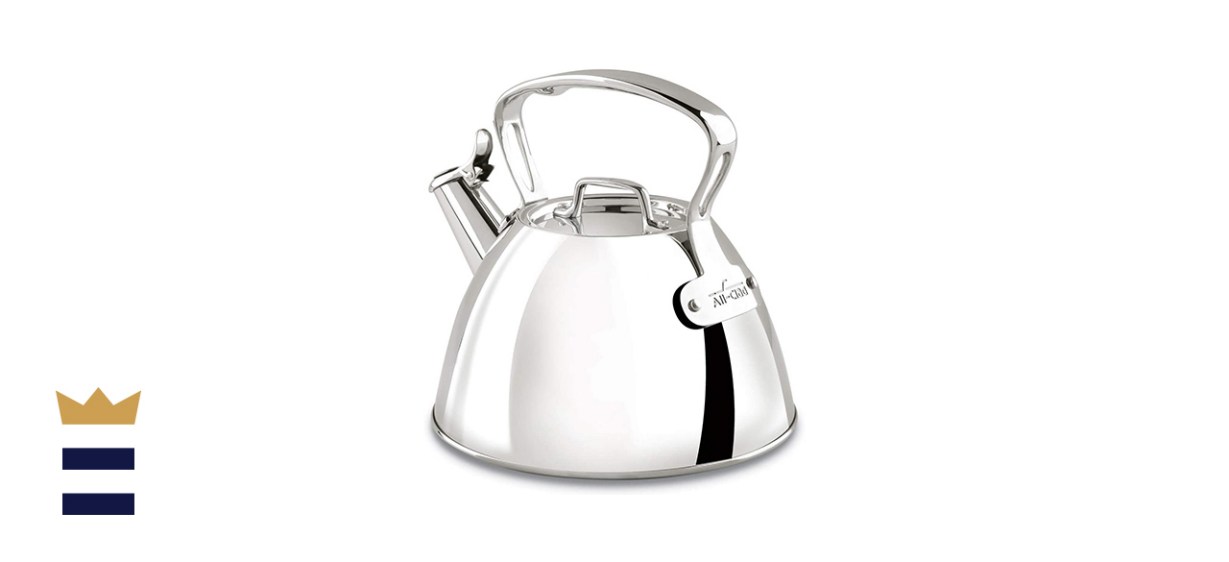 All-Clad Stainless Steel Tea Kettle