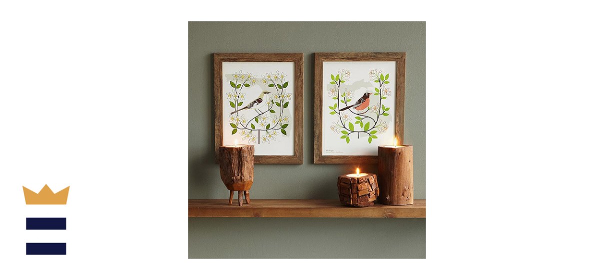 Anna Branning &amp; Mara Murphy Birds and Blooms Art