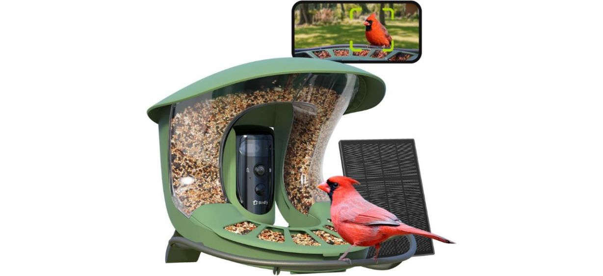 Birdfy 2 Smart Bird Feeder with Camera