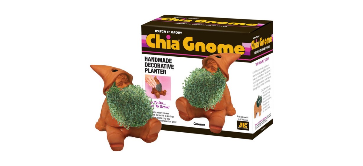 Best Chia Pet Gnome
