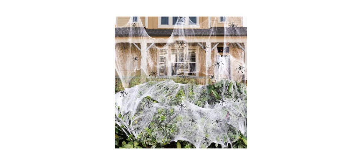 Best Zpisf Super Stretch Cobwebs