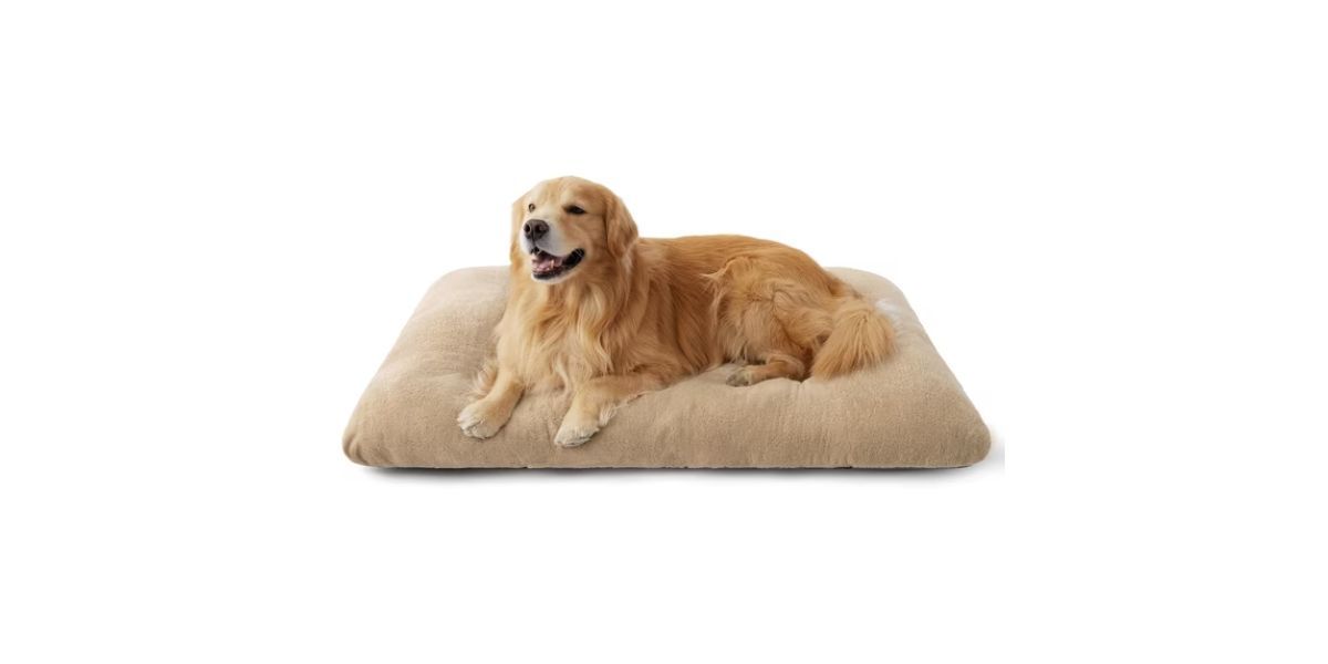 Katieovy Dog Bed for Large Dogs