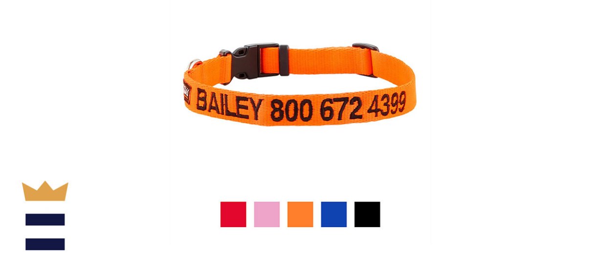 GoTags Nylon Personalized Dog Collar