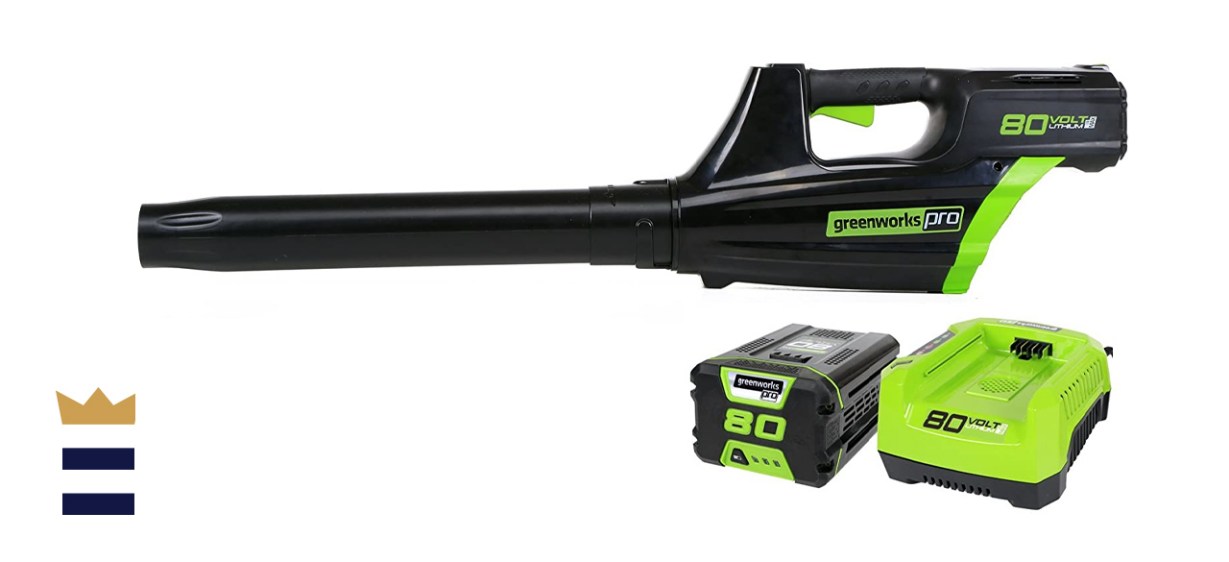 Greenworks Pro 80V Cordless Blower 