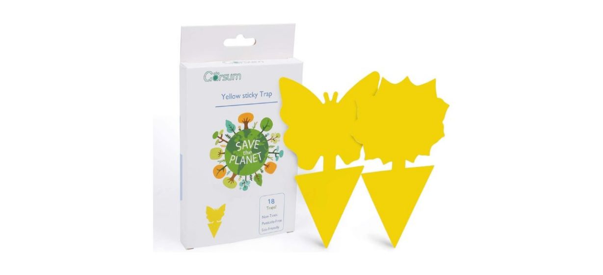Garsum Fruit Fly Sticky Traps Garsum Fruit Fly Sticky Traps