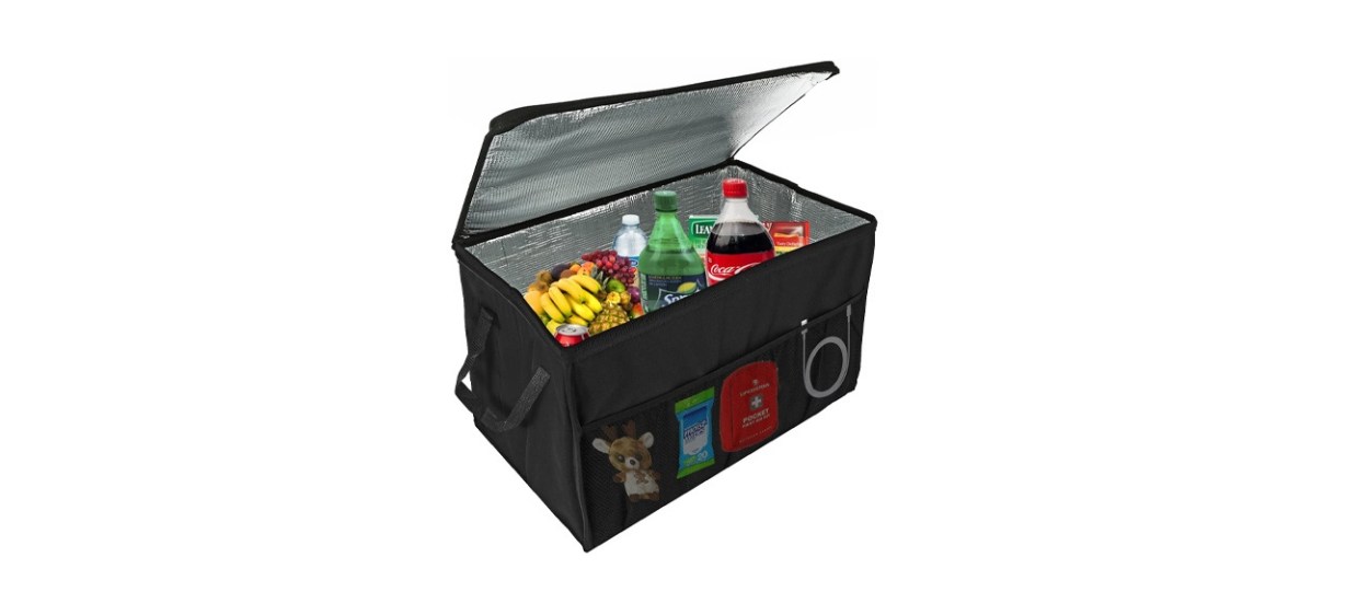 https://cdn17.bestreviews.com/images/v4desktop/image-full-page-cb/lebogner-insulated-car-console-organizer-cooler-3fda27.jpg?p=w1228